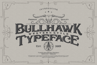 Bullhawk: A Bold Choice for Strategic Design and Brand Expression