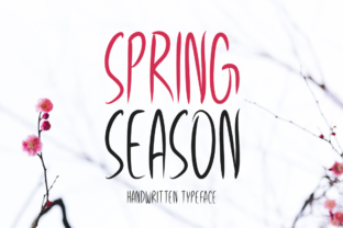 Spring Season: A Bold Display Font